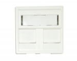2 Port 45x45 Faceplate